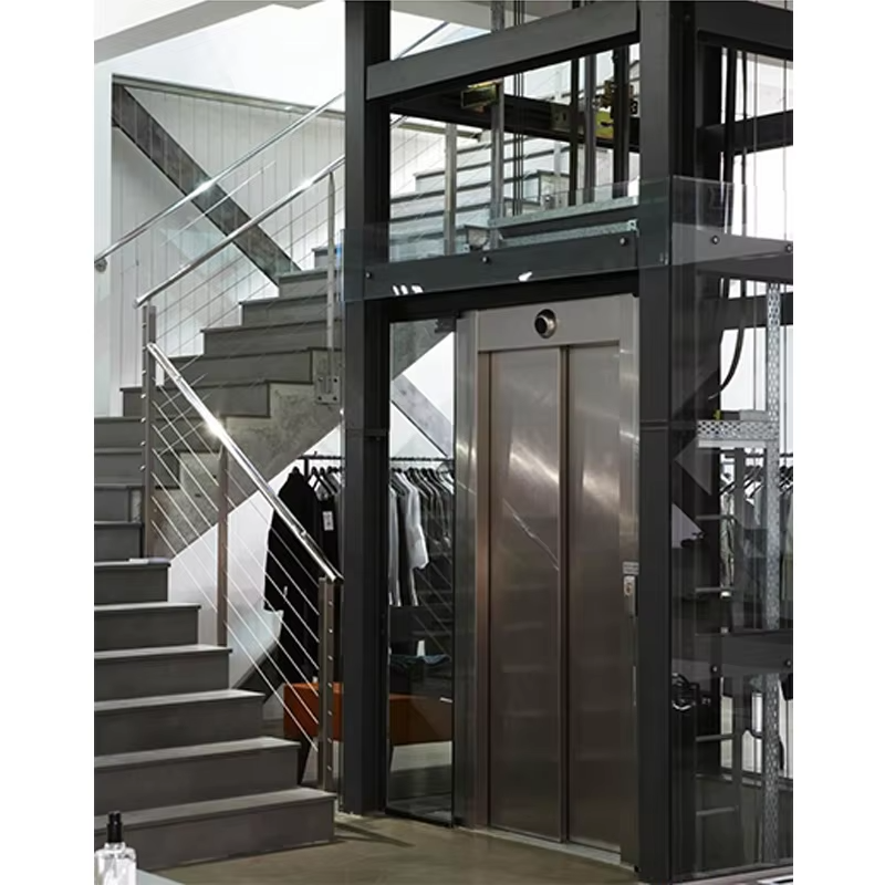 VTEV102 Ascensores Elevadores 주거용 장식용 에너지 절약 빌라 엘리베이터