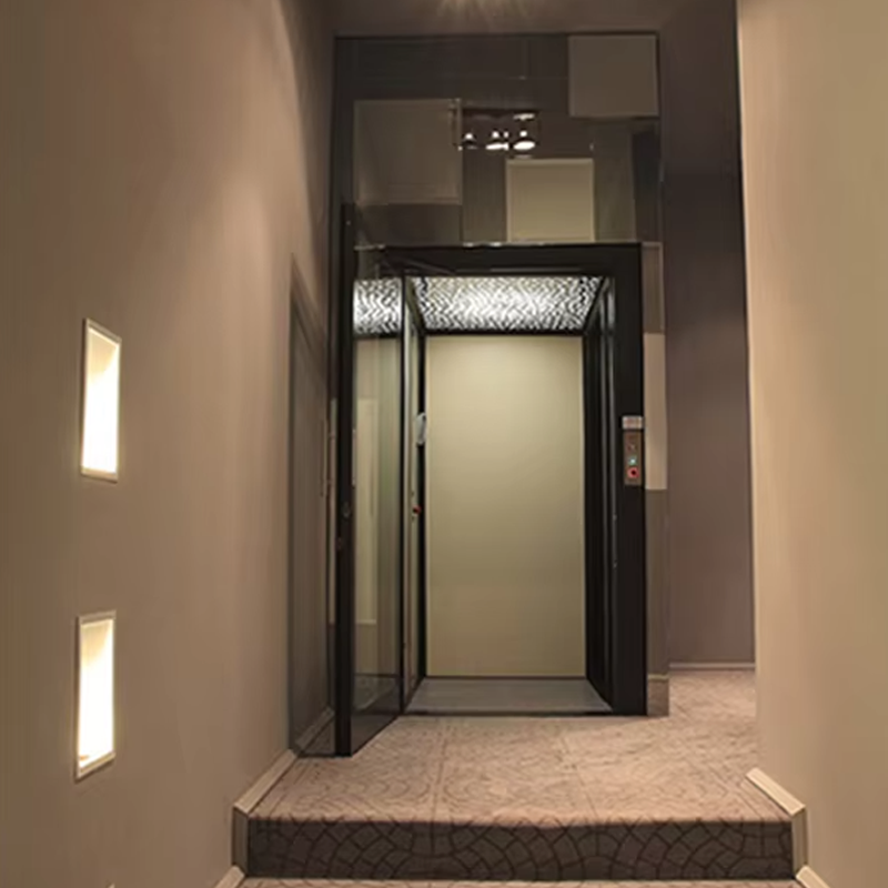 VTEV104 Ascensores Elevadores 가족 사용을 위한 고급 스테인레스 스틸 빌라 엘리베이터