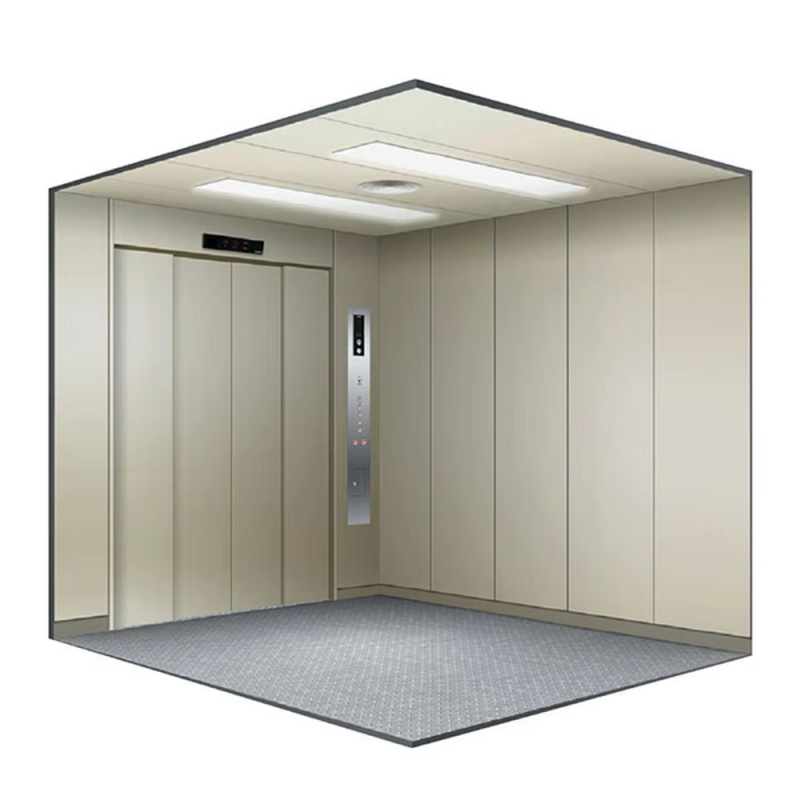 VTEF101은 강력한 적재 용량을 갖춘 산업용 화물 엘리베이터를 Acensores